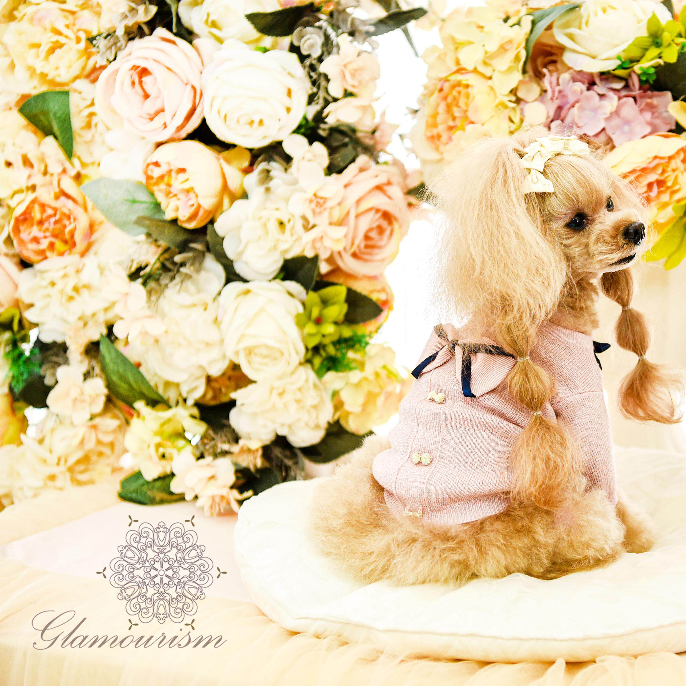 魅意Glamourism日本品牌宠物服装 艾莉亚蝴蝶结毛衣 羊毛优雅柔软