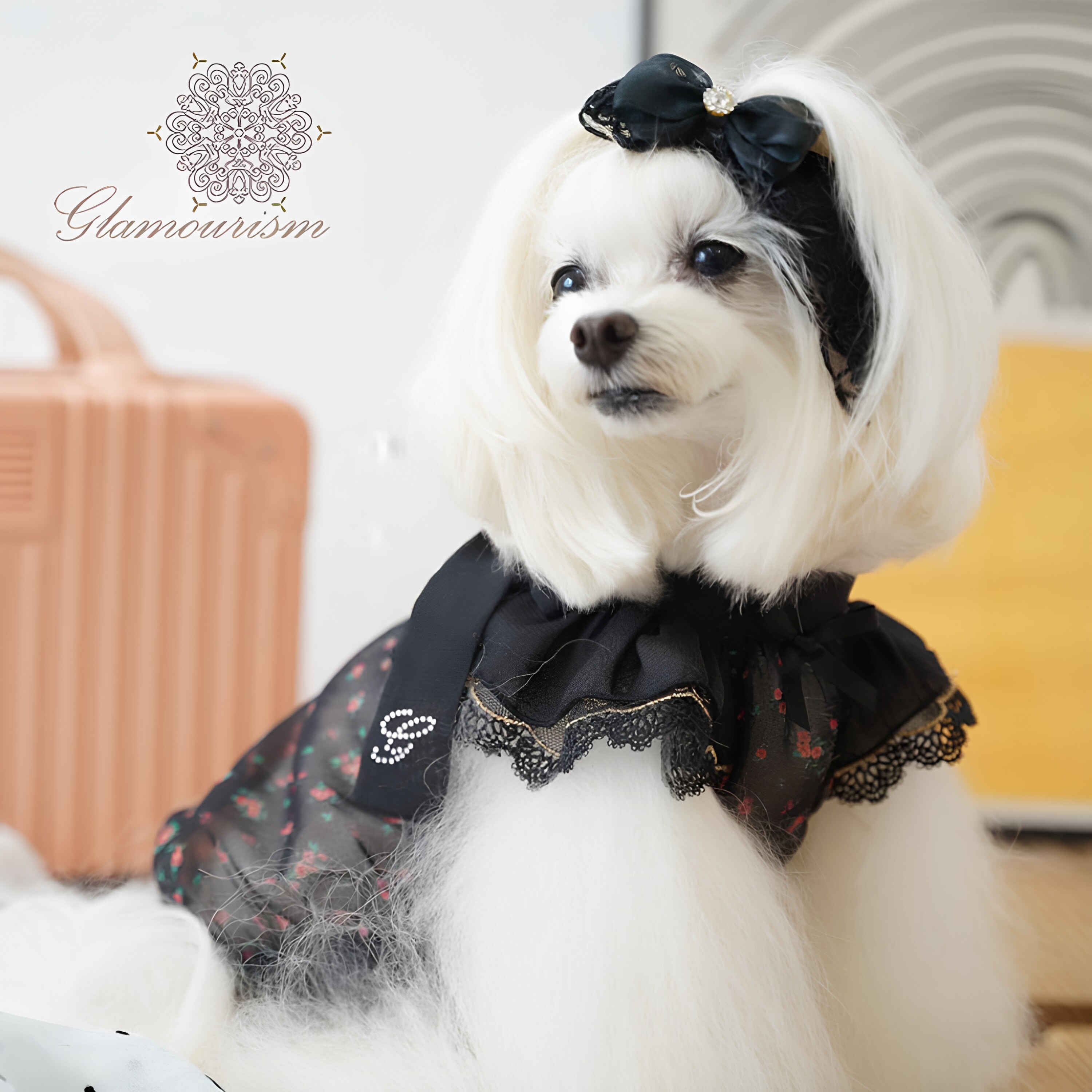 魅意Glamourism 日本品牌宠物服装 涵妮领带上衣经典优雅甜美可爱