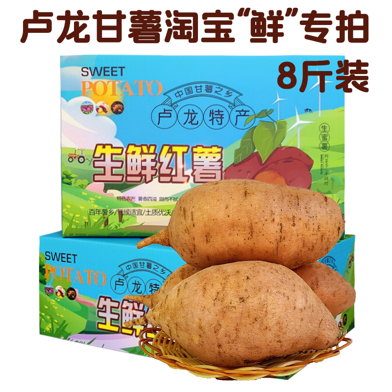 卢龙红薯老品种北京553黄皮黄心