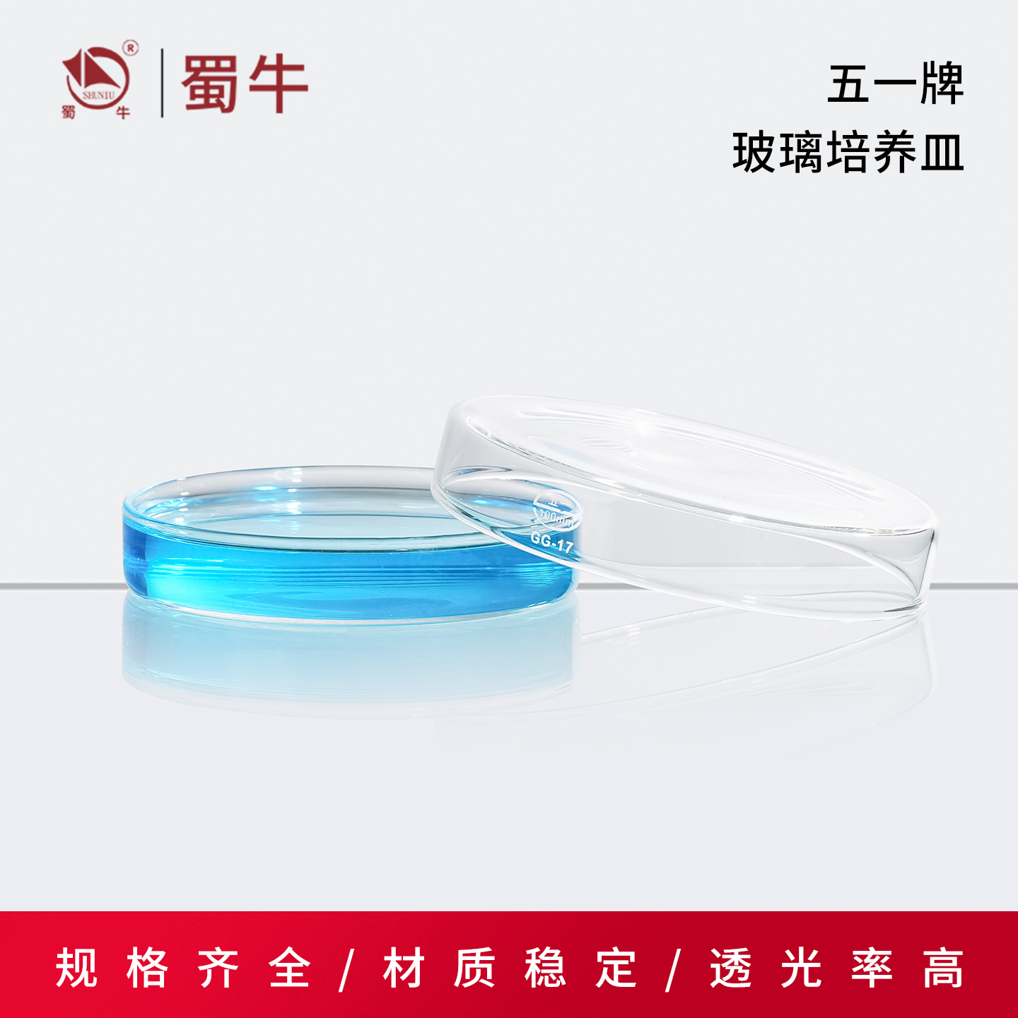 玻璃培养皿细胞细菌加厚