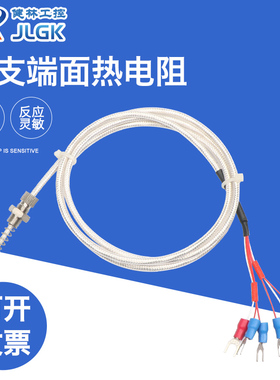 上海自动化仪表三厂端面热电阻WZPM-201 PT100双支六线 WZPM2-201