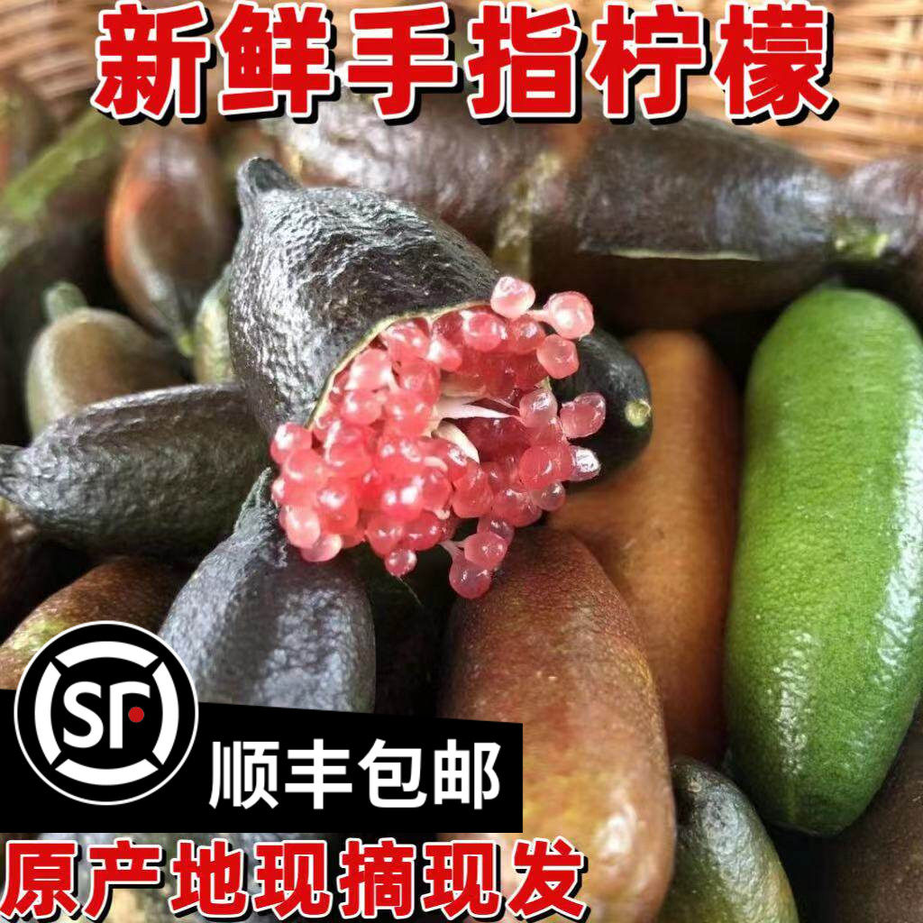 手指柠檬新鲜果澳洲品种指橙鱼子酱拇指柠檬西餐排盘装饰点缀包邮