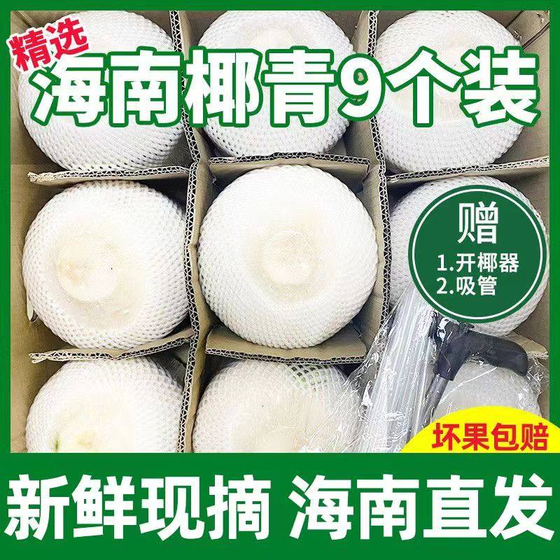 海南椰青新鲜椰子水果去皮香椰皇椰汁椰子蛋整箱特产原产地包邮9,水产肉类/新鲜蔬果/熟食,椰青,淘宝优惠券,粉丝福利购,淘宝优惠卷