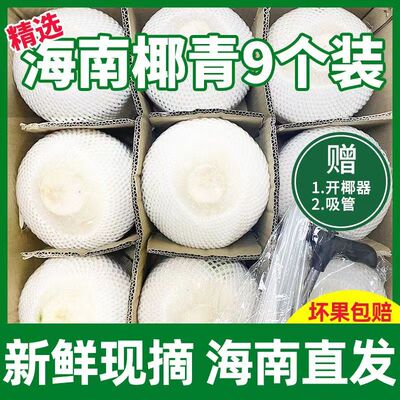 海南椰青原产地现摘现代