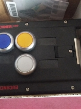 【议价】EUCHNER 安士能 MGB-L2-APA-AA6A1-S3-L-110545