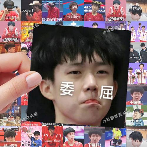 王楚钦表情包贴纸搞笑沙雕