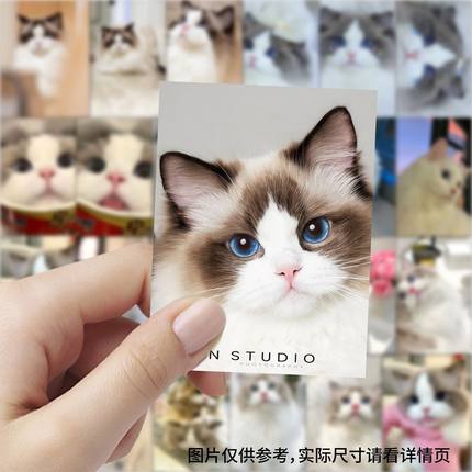 189张布偶猫可爱萌宠贴纸动物猫咪贴画笔记本电脑水杯diy防水贴纸