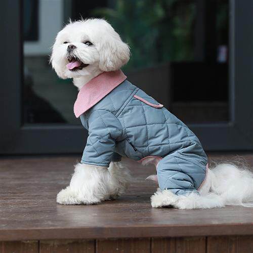 SLPC狗狗衣服小型犬冬天保暖柯基博美泰迪衣服四脚棉衣柔软舒适幼属于什么档次？