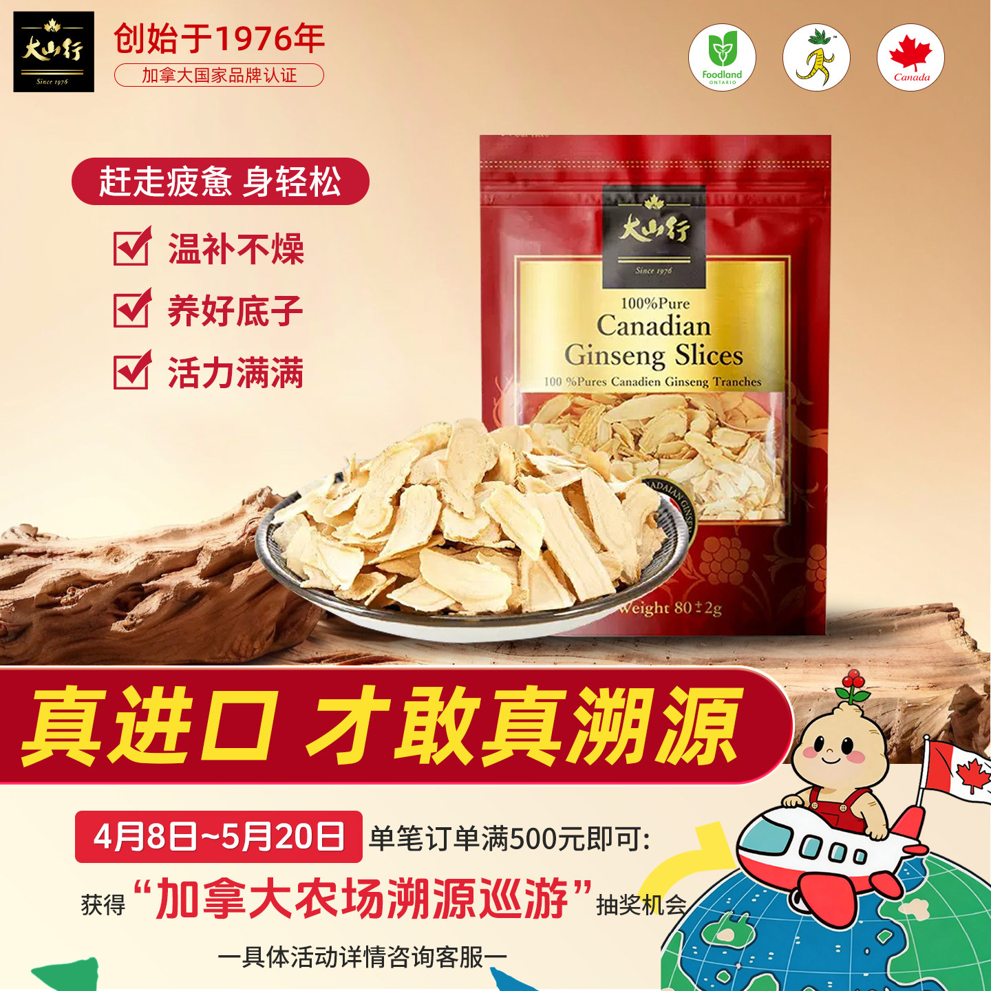 大山行西洋参80克进口加拿大花旗参春季补气滋补品营养官方旗舰店