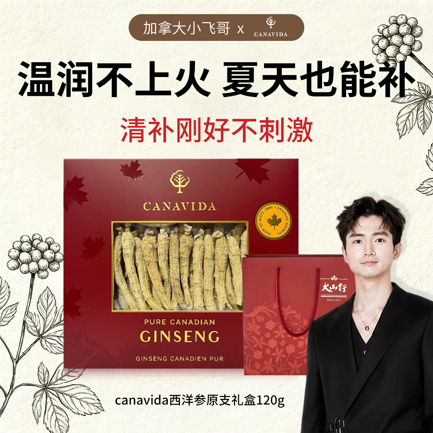 【小飞哥】进口西洋参小长支120g礼盒加拿大花旗参夏季温补不上火