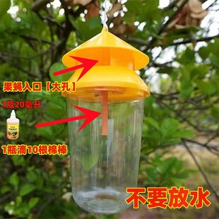 瓜果实蝇诱捕器诱引剂驱虫剂果园针锋实蝇性息素诱虫驱虫器