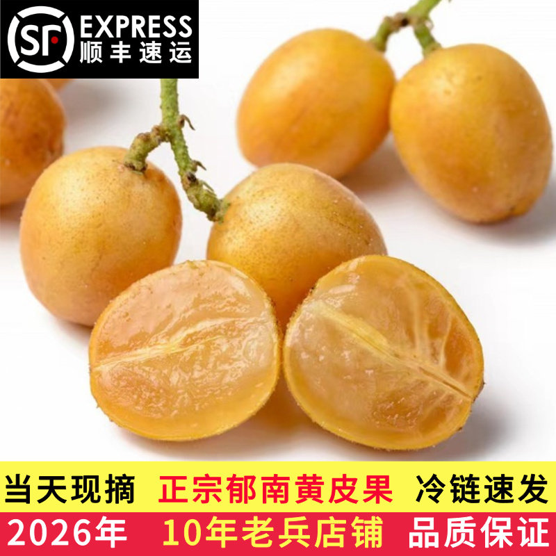 顺丰正宗广东郁南无核黄皮果鸡心贵妃黄皮孕妇新鲜时令水果现摘