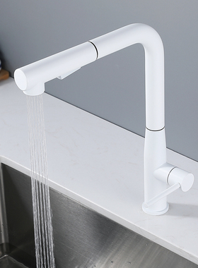 WINMV 白色不锈钢洗衣池洗碗盆增压防溅厨房水龙头单冷抽拉式家用