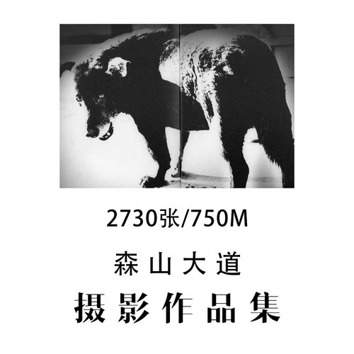 森山大道日本街头纪实摄影大师摄影作品集参考素材审美提升资料