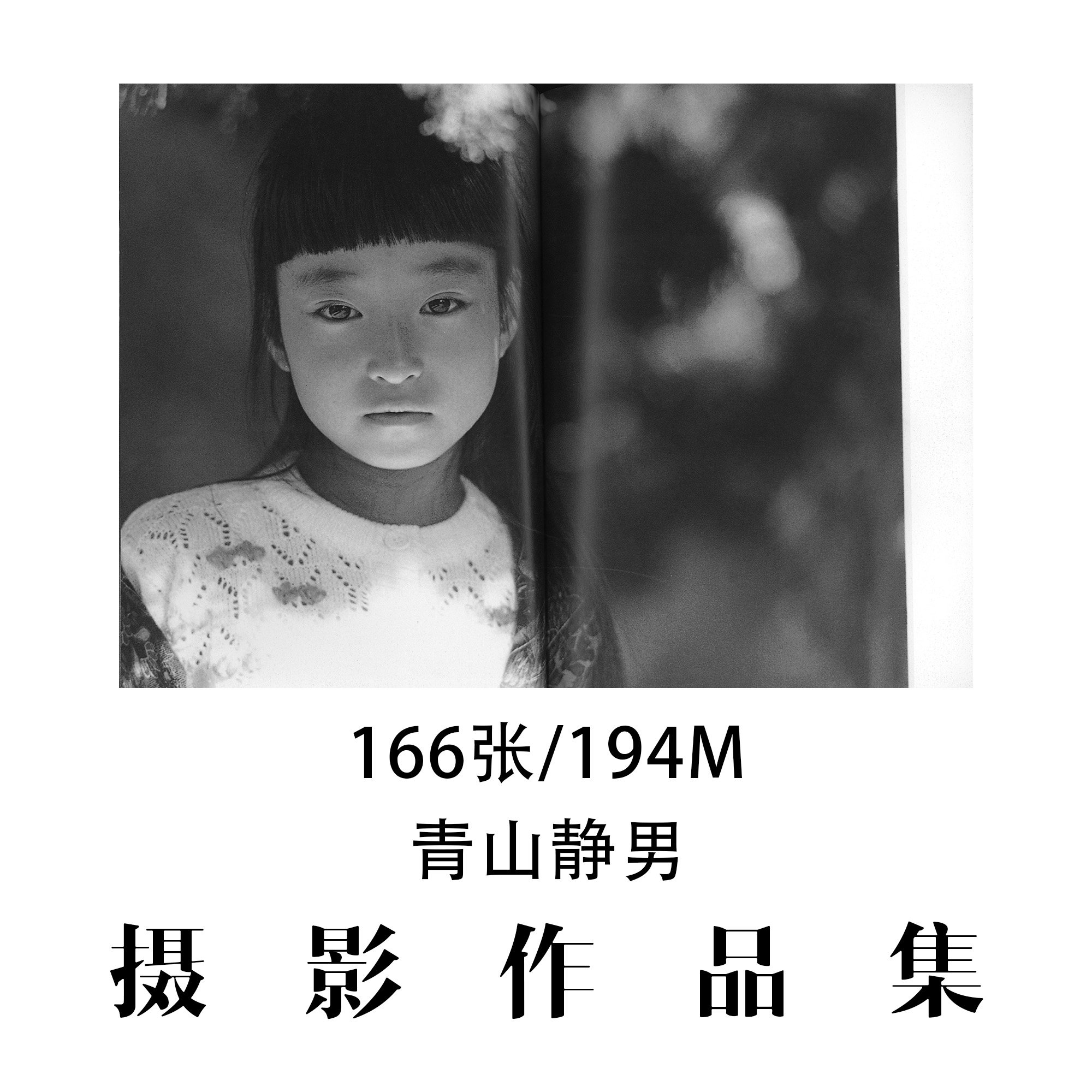 青山静男 世界摄影大师摄影集 后期构图审美艺术作品学习参考素材 - 实物图