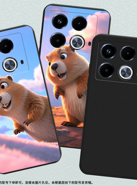 适用传音InfinixNote40手机壳中国风土拨鼠Note40Pro+磨砂壳InfinixNote40Pro高级感X6853潮流保护套