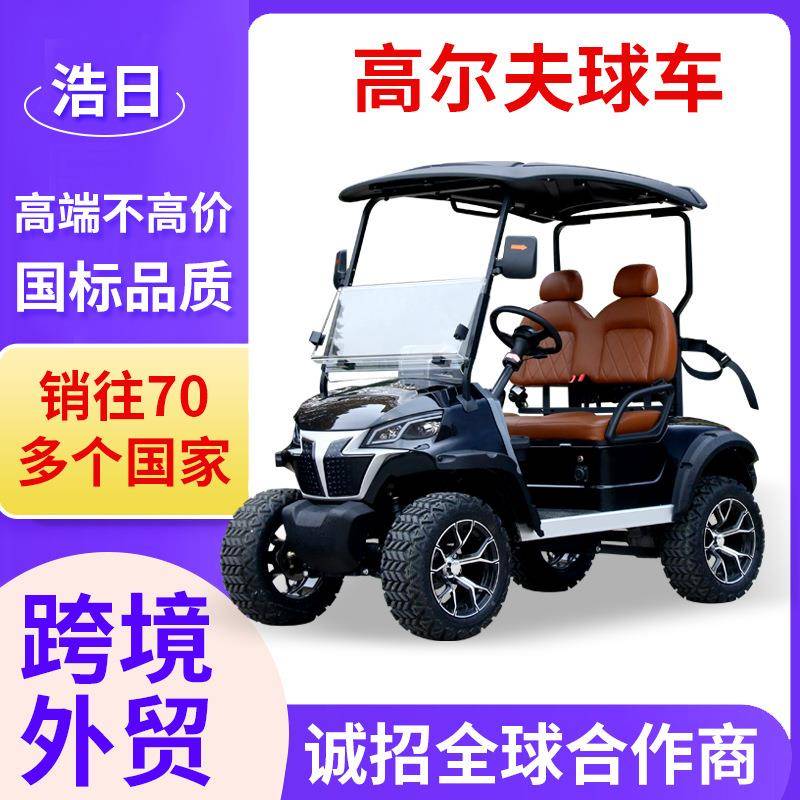 电动高尔夫球车多媒体显示屏带倒车影像2座景区游览高尔夫球车