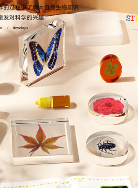ONSHINE童年无限琥珀昆虫叶子植物标本DIY材料花朵真花制作工具
