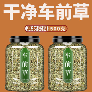 车前草中药材500g克干货非野生旗舰店新鲜袋泡茶茶包泡水中草药