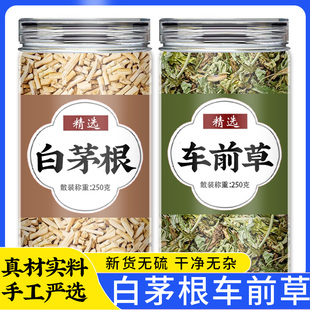 白茅根车前草茶包中药材正品喝新鲜干货茅根草白毛根功效泡水泡茶