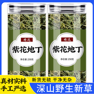 紫花地丁中药材正品新鲜野生犁头铧头地丁草中草药茶的功效与作用