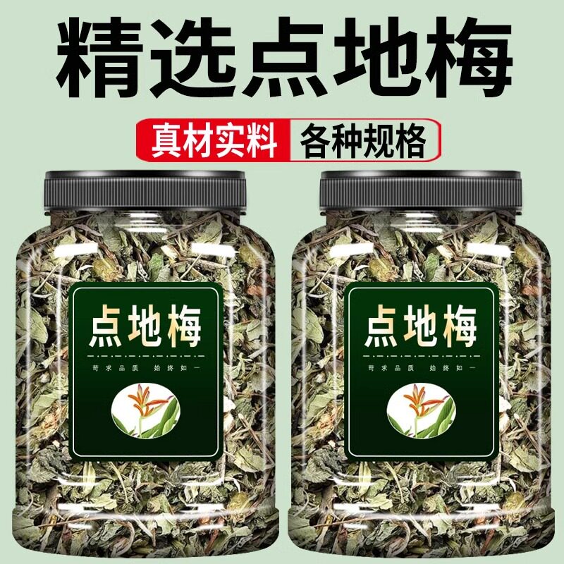 点地梅中药材喉咙草天星