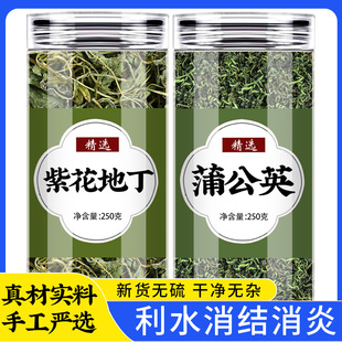 紫花地丁蒲公英茶中药材正品特级野生天然干草犁头草婆婆丁浦公英