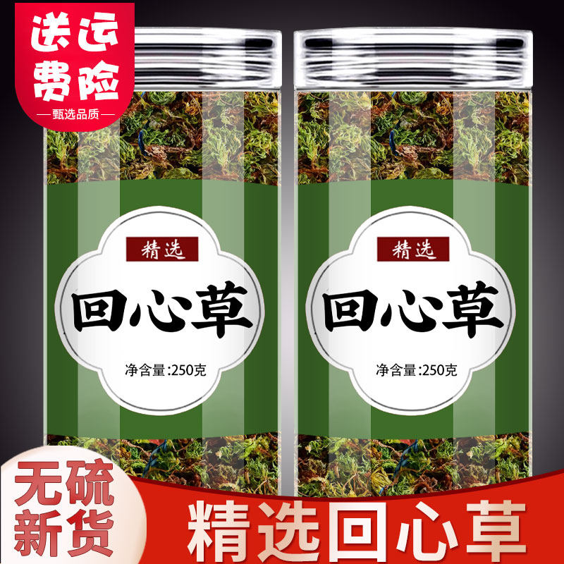 回心草中药材正品野生云南干货泡水喝茴心草中草药大叶藓芯薪回薪