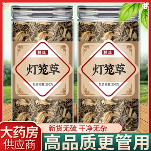 灯笼草中药材灯笼鬼灯笼苦灯笼草断血流姑娘果干草药泡水煮水功效