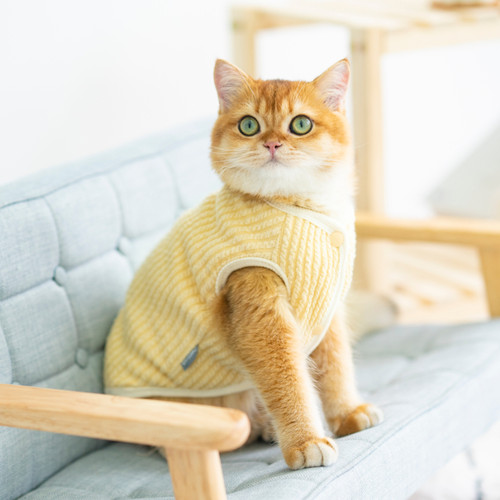 加绒保暖猫咪衣服冬季