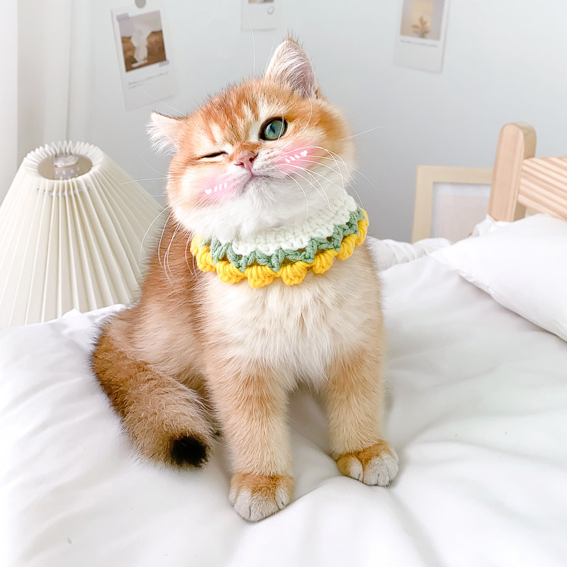 猫咪项圈手工编织可爱猫咪脖圈猫猫小猫针织围脖宠物饰品狗狗脖套