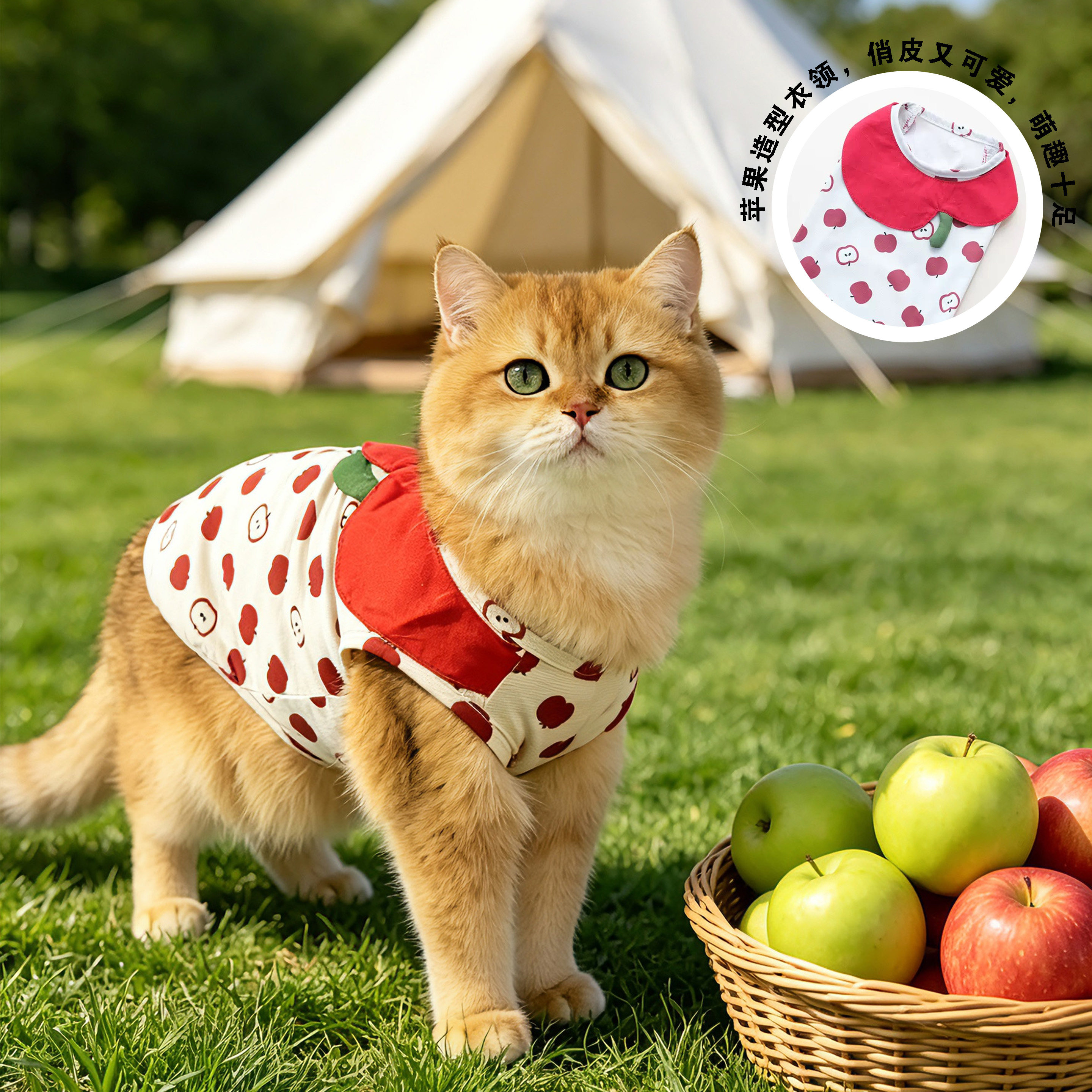 春夏新款轻薄型面料猫狗外出宠物背心金渐层布偶泰迪博美凉凉衣