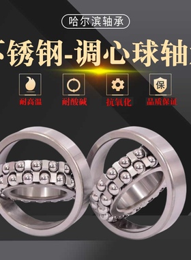 不锈钢轴承S2200 2201 2202 2203 2204 2205 2206 2207 2208 RS