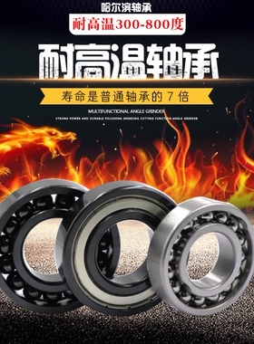 耐高温轴承 970112 970113 970114 970115 6012 6013 6014 6015ZZ