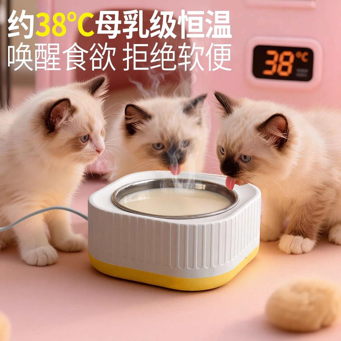 猫咪恒温加热饮水机宠物喝水水碗