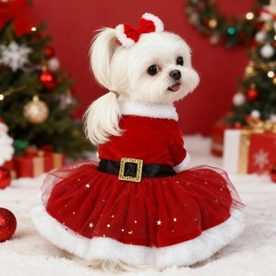 2025新款狗狗圣诞衣服冬装