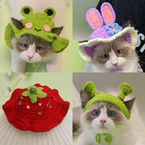 猫咪帽子编织布偶猫猫兔耳朵