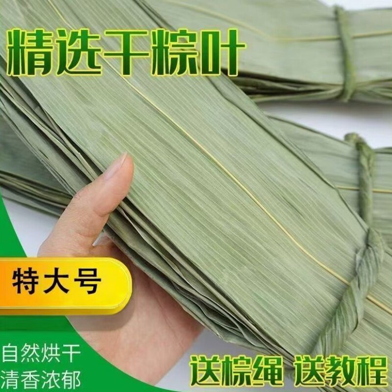粽子叶大号干粽叶烘干蒸笼包子垫
