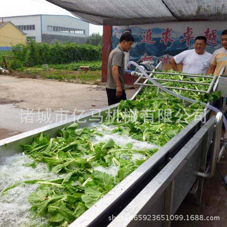 商用大型洗菜机全自动喷淋式果蔬清洗机叶类蔬菜高压气泡清洗机,厨房电器,其他商用厨电,淘宝优惠券,粉丝福利购,淘宝优惠卷