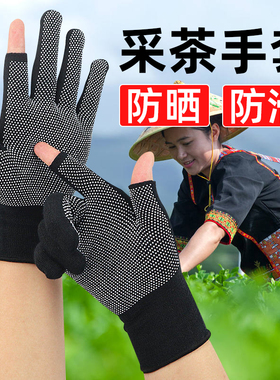 采茶叶防晒手套劳保点胶防滑