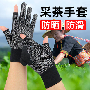 采茶叶防晒手套劳保点胶防滑摘茶专用骑行户外漏两指分指触屏薄款