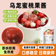 法采乌龙蜜桃果酱烘焙专用杨枝甘露麻糍调色调味蓝莓草莓树莓青提