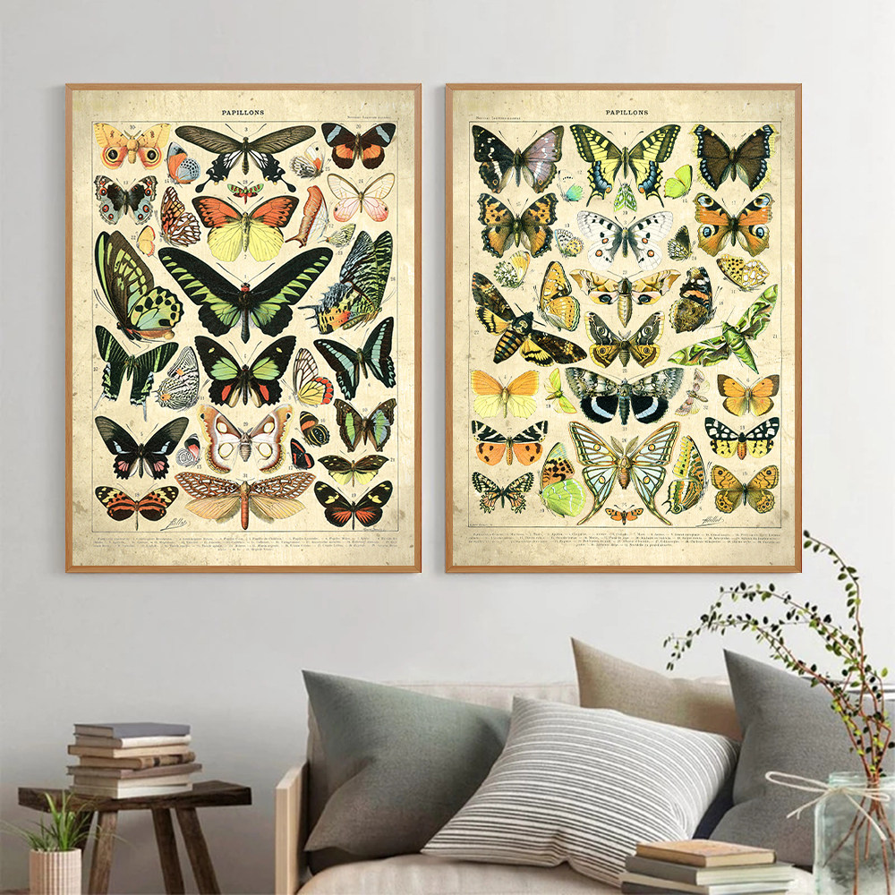 法语昆虫图生物学装饰画复古蝴蝶图案文艺挂画客厅书房背景墙壁画
