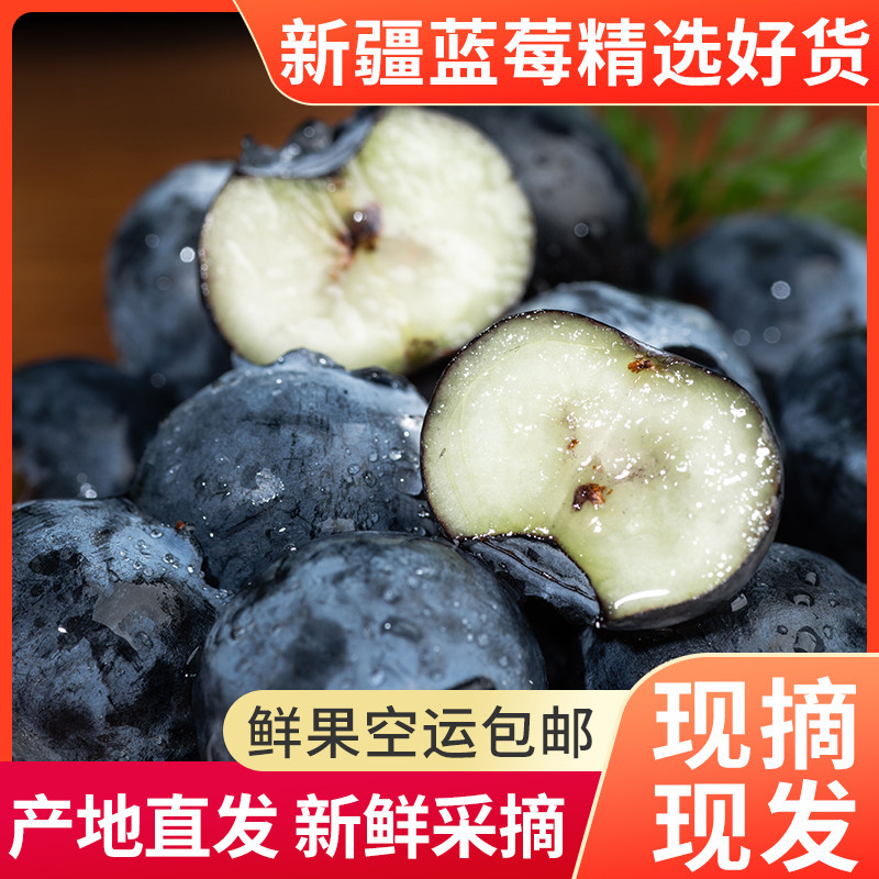 新疆喀什蓝莓一级果125g/盒