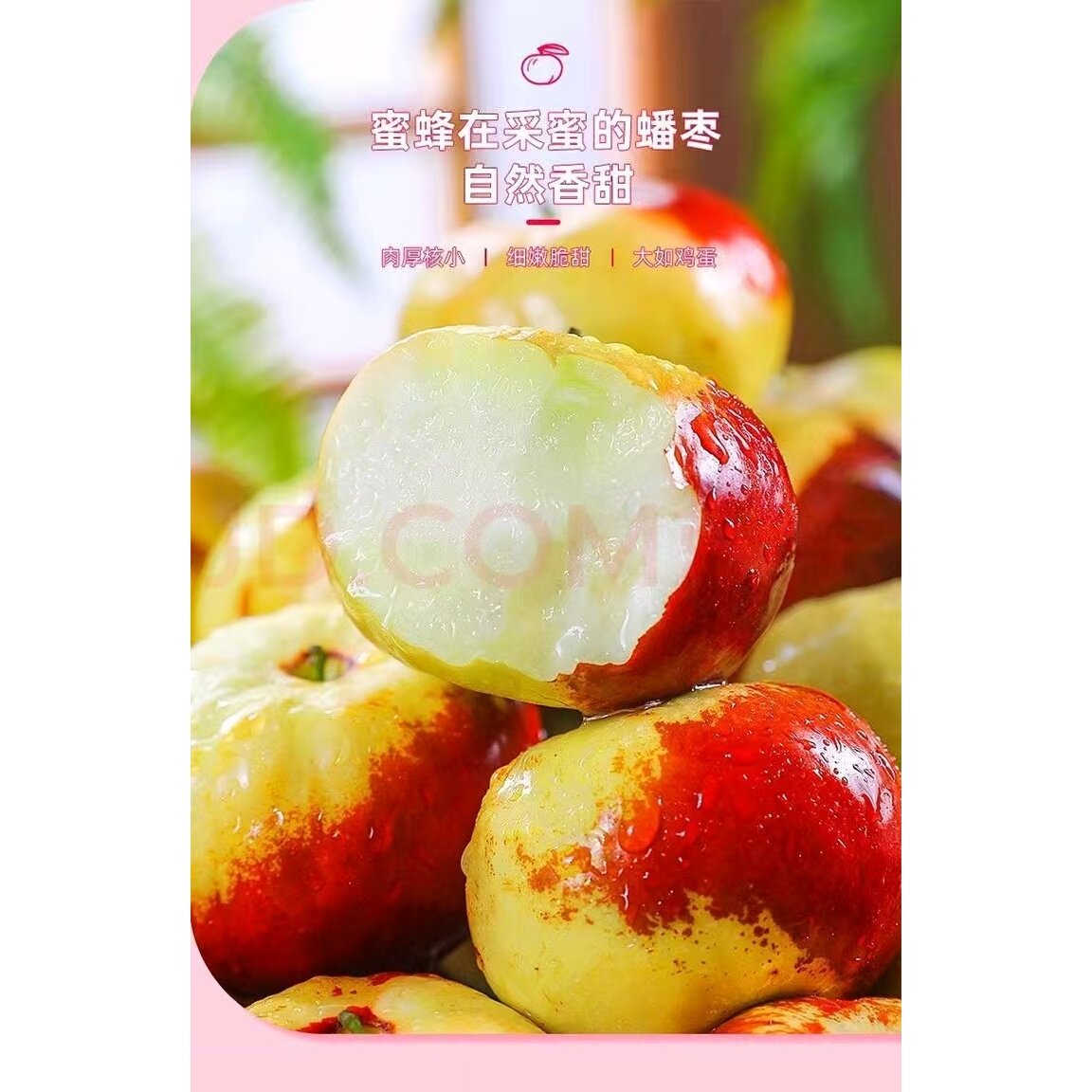 新疆大漠蟠枣 一口嘎嘣脆 清甜爆汁