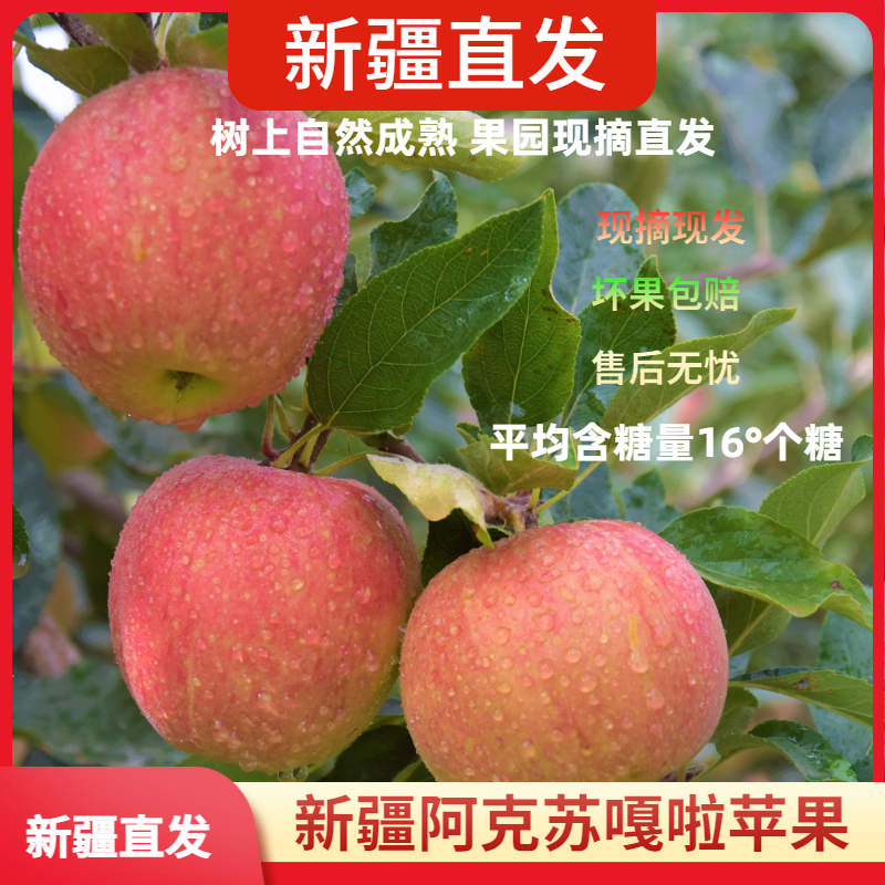 新疆阿克苏嘎啦小苹果【中通包邮阿克苏直发】