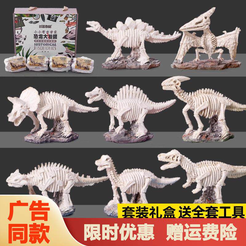 恐龙化石考古挖掘手工diy