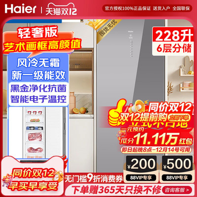 海尔风冷无霜冷冻一级能效冷冻柜