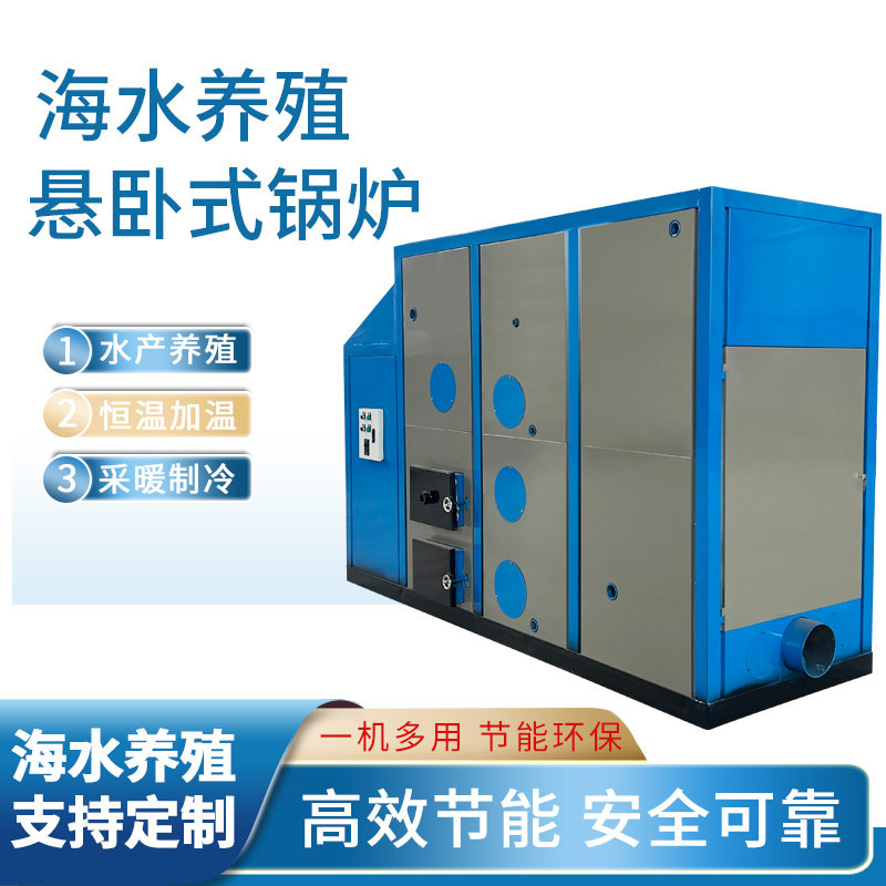生物质颗粒燃料锅炉天然气商用洗浴烧水家用供暖锅炉地暖热水器