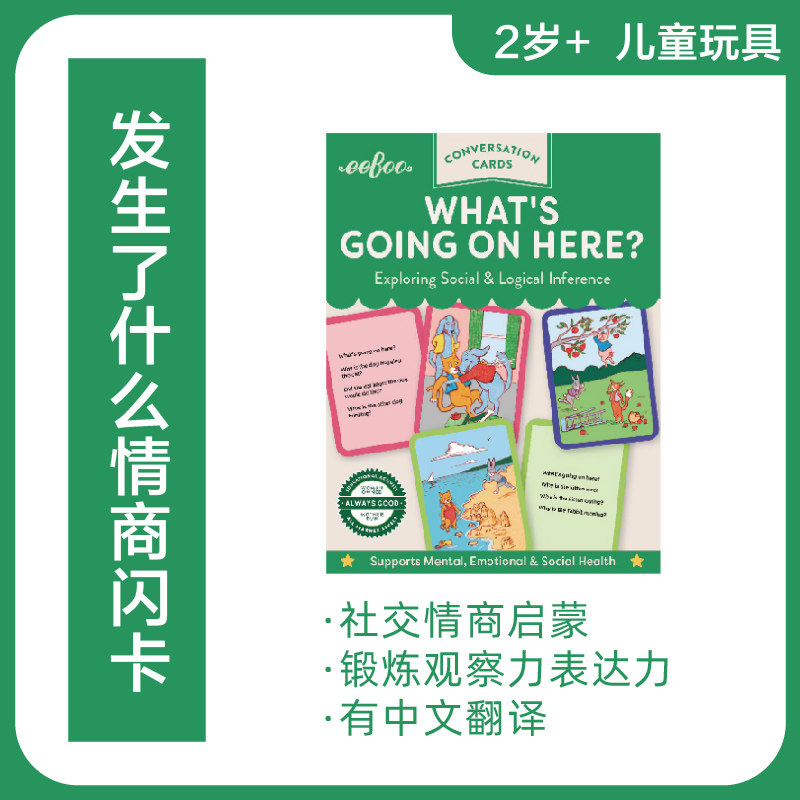 美国eeBoo启蒙儿童益智教具